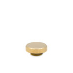 ek_quantum_torque_plug_gold_3_1.jpg
