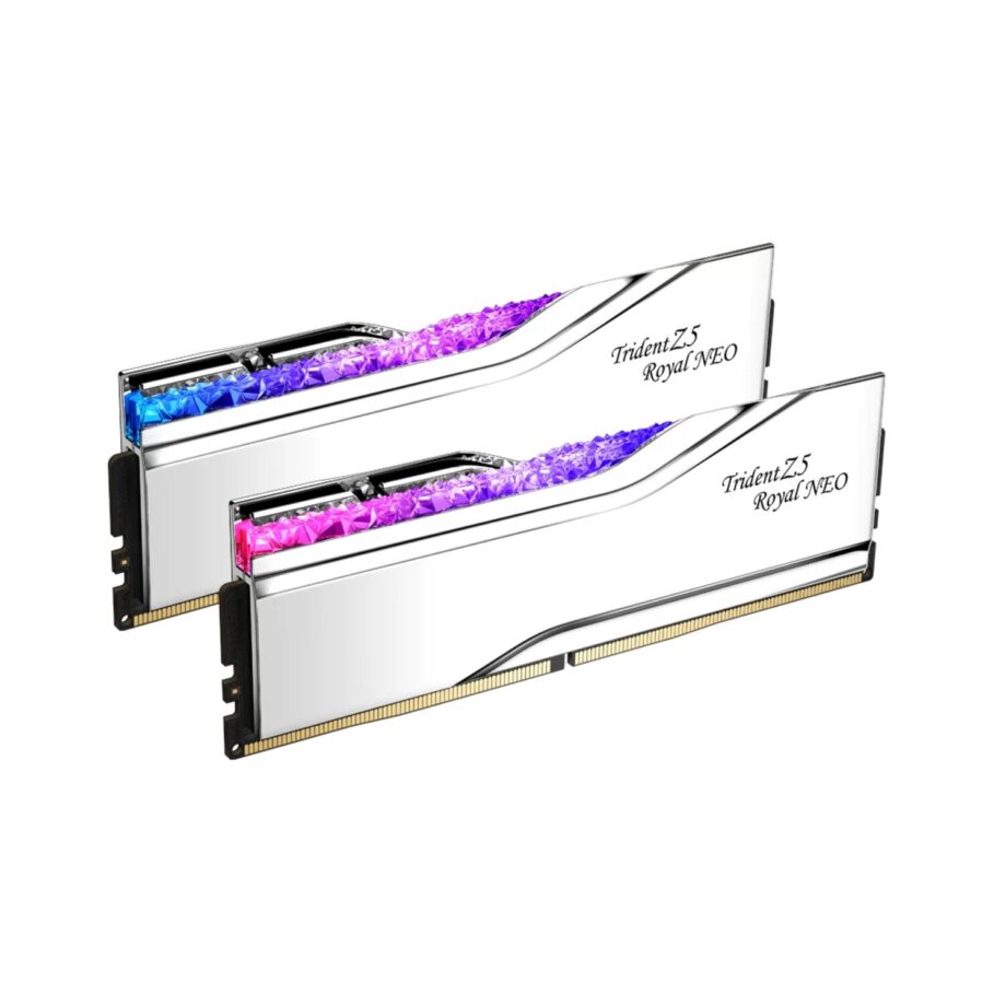 Trident Z5 Royal Neo silber_01.jpg